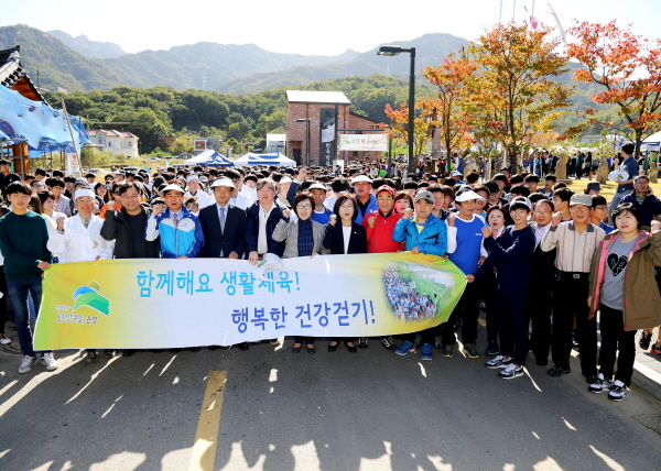 2015 파발걷기대회