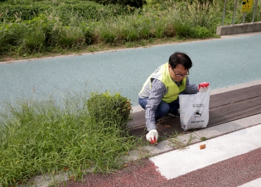 2016년 3/4분기 은평구의회 봉사활동-2