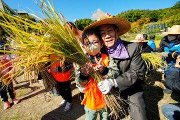 향림도시농업체험원 벼베기 행사
