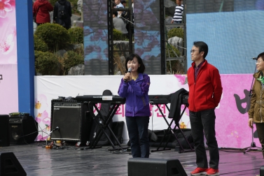 제6회 불광천 벚꽃축제_걷기대회