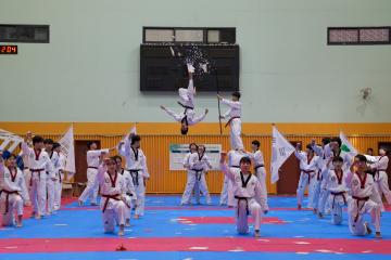 제27회 은평구청장기 태권도 대회