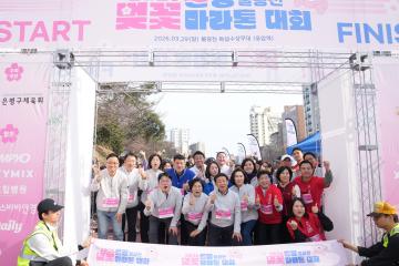 2026 은평 불광천 벚꽃마라톤