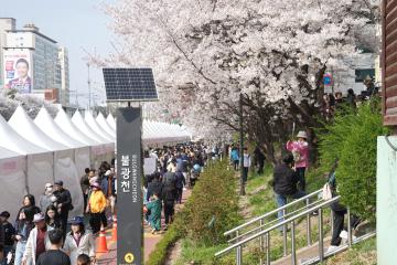 불광천 벚꽃축제 ‘은평의 봄’ 둘째날
