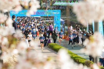 2023 은평 벚꽃 마라톤 대회