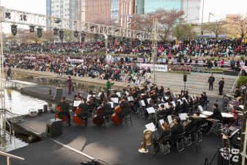 불광천 벚꽃축제 '은평의 봄'